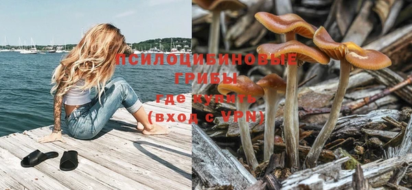 скорость Заводоуковск