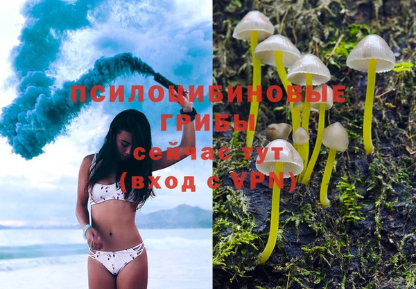 ПСИЛОЦИБИНОВЫЕ ГРИБЫ Заволжск