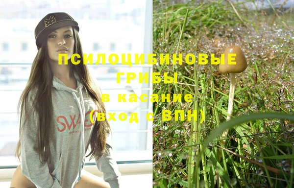 не бодяженный Зеленодольск